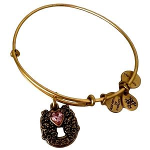 Gold Tone ALEX AND ANI Love and Luck Fortunes Favor Charm Bangle Bracelet